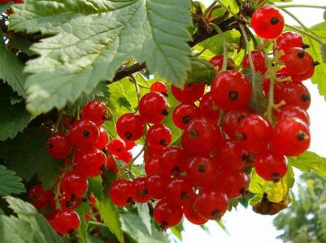 �����ĠI�B�rֵ-�����Ĺ�Ч�c����