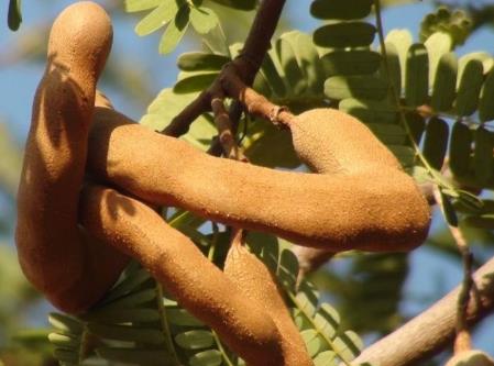 ��ǵĠI�B�rֵ-��ǵĹ�Ч�c����