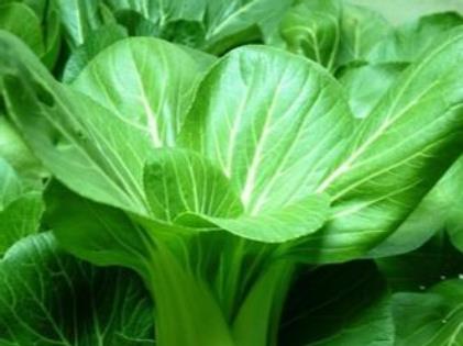 �Ͳ˵ĠI�B�rֵ-�Ͳ˵Ĺ�Ч�c����