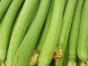 吃絲瓜好嗎？絲瓜的營養價值、功效與作用