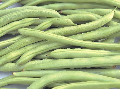 ���ǵĠI�B�rֵ-���ǵĹ�Ч�c����