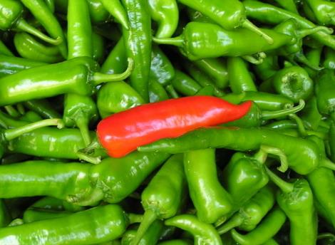 �⽷��ô���óԣ��⽷�ĠI�B(y��ng)�r(ji��)ֵ����Ч�c����