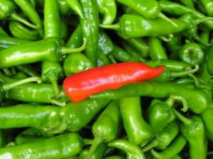 尖椒怎么做好吃?尖椒的營養(yǎng)價(jià)值、功效與作用