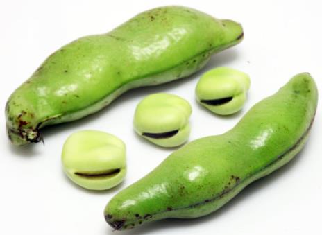 �Q���ĠI�B�rֵ����Ч�c����-�Q����������ȫ