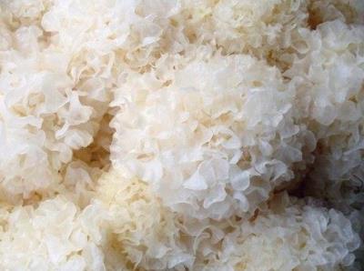 ��ľ���ĠI�B�rֵ-��ľ���Ĺ�Ч�c����