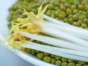 綠豆芽怎么做好吃？綠豆芽的營養(yǎng)價值、功效與作用