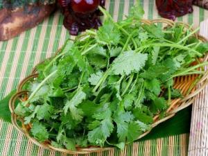 香菜怎么吃?香菜的營(yíng)養(yǎng)價(jià)值、功效與作用