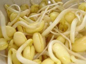 吃黃豆芽好嗎?黃豆芽的營養價值、功效與作用