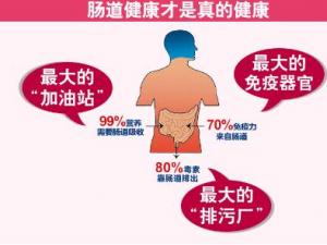 益生菌有必要買嗎?益生菌的作用