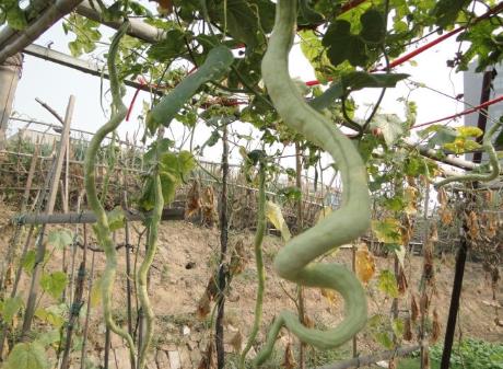 �߹ϵĠI�B�rֵ-�߹ϵĹ�Ч�c����