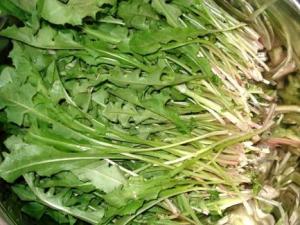 蒲公英的營養(yǎng)價(jià)值-蒲公英的功效與作用