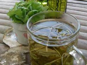 蒲公英泡水喝好嗎？蒲公英泡水喝的功效