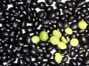 黑豆的營養價值-黑豆的功效與作用