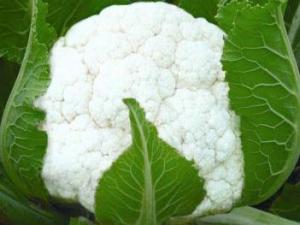 吃花菜有什么好處?花菜的營(yíng)養(yǎng)價(jià)值及功效