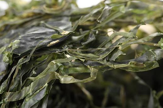 干海帶如何泡發(fā)?海帶排骨湯的功效-海帶排骨湯的做法