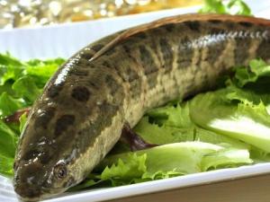 �Ժ��~�ĺ�̎�����~�ĠI�B�rֵ ���~��������ȫ