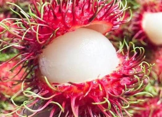 紅毛丹怎么吃?紅毛丹的功效與作用