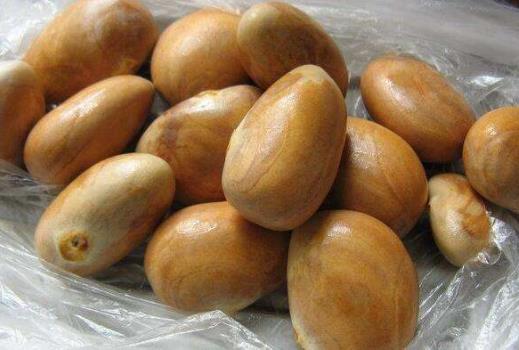 菠蘿蜜的核能吃嗎?菠蘿蜜的核怎么吃?吃菠蘿蜜核的注意事項(xiàng)