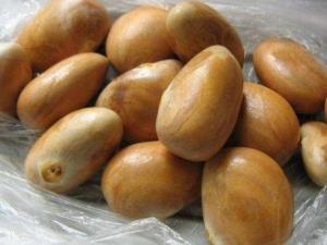 ���}�۵ĺ��ܳԆ������}�۵ĺ���ô�ԣ��Բ��}�ۺ˵�ע�����