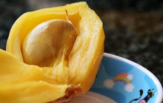 菠蘿蜜的核能吃嗎?菠蘿蜜的核怎么吃?吃菠蘿蜜核的注意事項(xiàng)