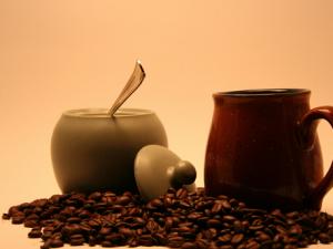 咖啡豆怎么煮？咖啡豆的種類