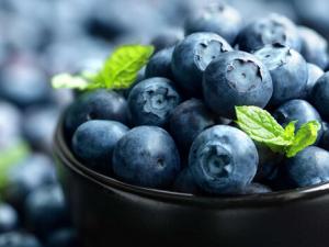 藍莓怎么洗?怎么挑選藍莓?