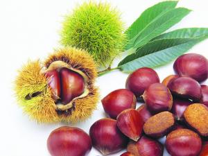 板栗怎么去皮？板栗的吃法