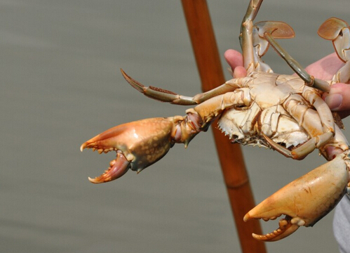 ���T��з������-���T��з�ı��淽��