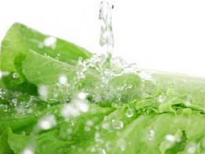 蔬菜農藥殘留怎么辦？洗菜的小訣竅