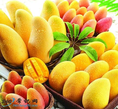 â�����ӄ�Ƥ��â����Ƥ����