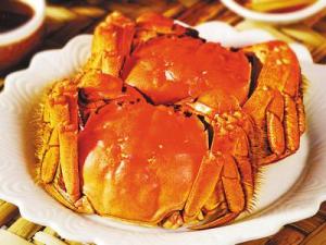 如何挑選陽澄湖大閘蟹?大閘蟹是母蟹好還是公蟹好