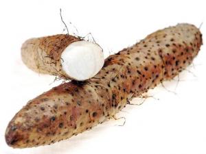 如何選購山藥？山藥的挑選方法