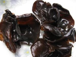 ��ľ��һ��Ҫ�ݶ��������ݰl(f��)��ľ��