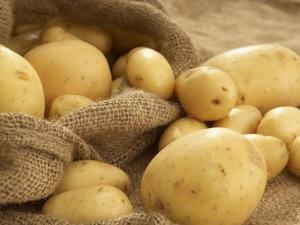 如何挑選馬鈴薯?馬鈴薯的挑選方法