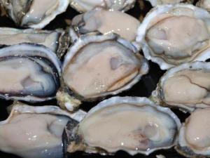 ĵϠ�����ϴ��ĵϠ����ϴ����