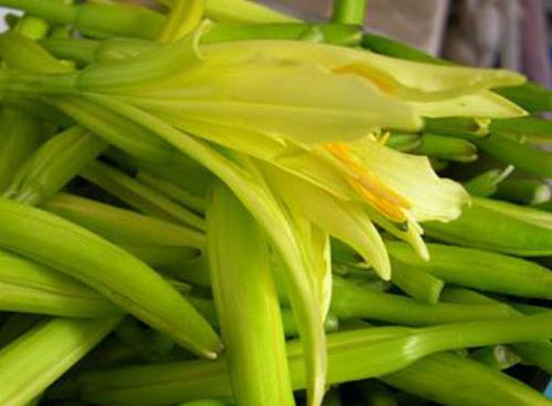 �S������ô���ó����S���˵ĳԷ�