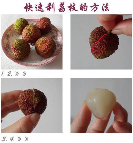 ��ο��ل���֦Ƥ����֦Ƥ��ô��������