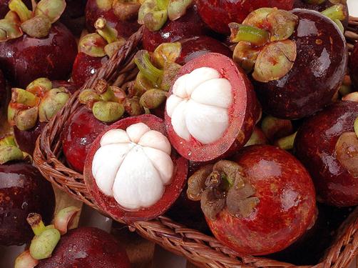 ������xɽ��ʲô�ӵ�ɽ��ó�