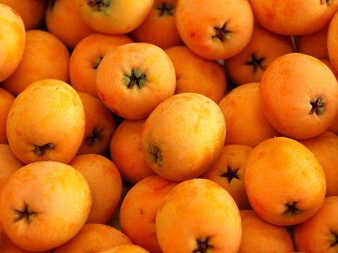 ������x���r���ˣ����˵����x����