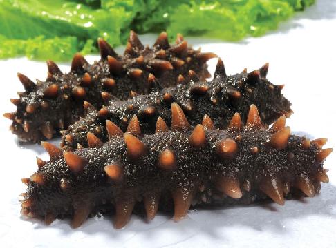 ������ô�ݰl(f��)���ݰl(f��)�����ķ���