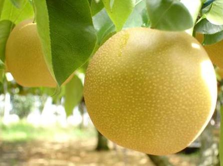 ����b�eƯ���棿Ư������b�e����