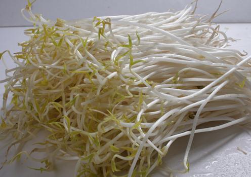 ������x���|��ѿ����ѿ�����x����