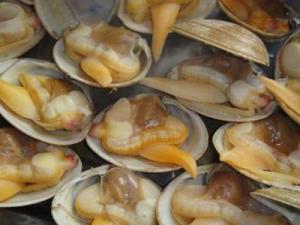 黃蜆子怎么去沙子？黃蜆子的清洗方法