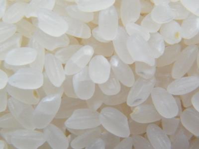 ����b�eŴ���Г��д��ף�Ŵ�׺ʹ��׵ą^�e