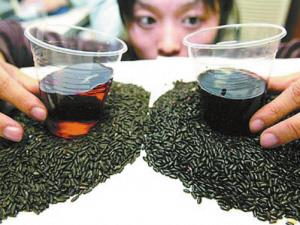 如何挑選優質的黑米?怎樣挑選黑米