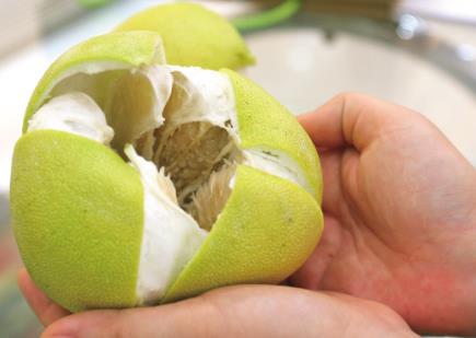 ���һ�����������ӣ������ӵķ���