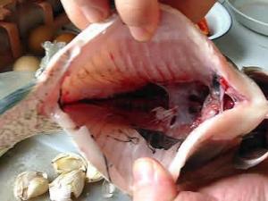 怎么去除手上的魚腥味?手上的魚腥味去除方法