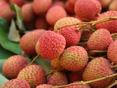 �����ڱ����б��r��֦����֦���ر��r�ķ���