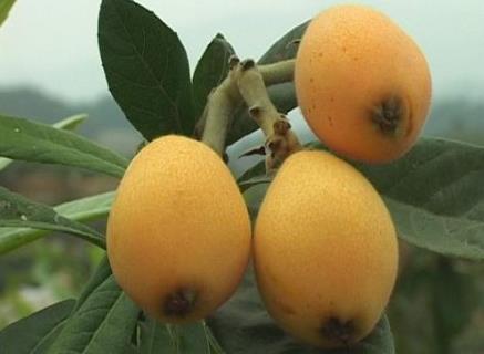 ������x���ˣ�������ô���ó�