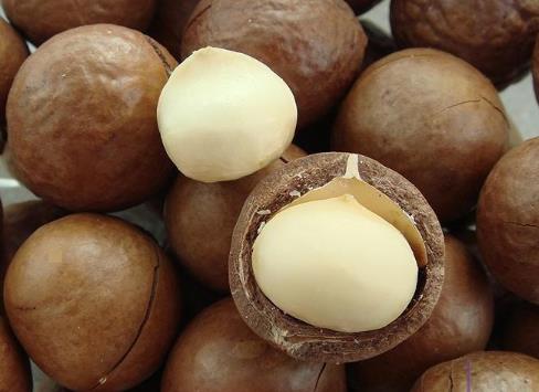 �����Ĺ���ô�_������������ע�����